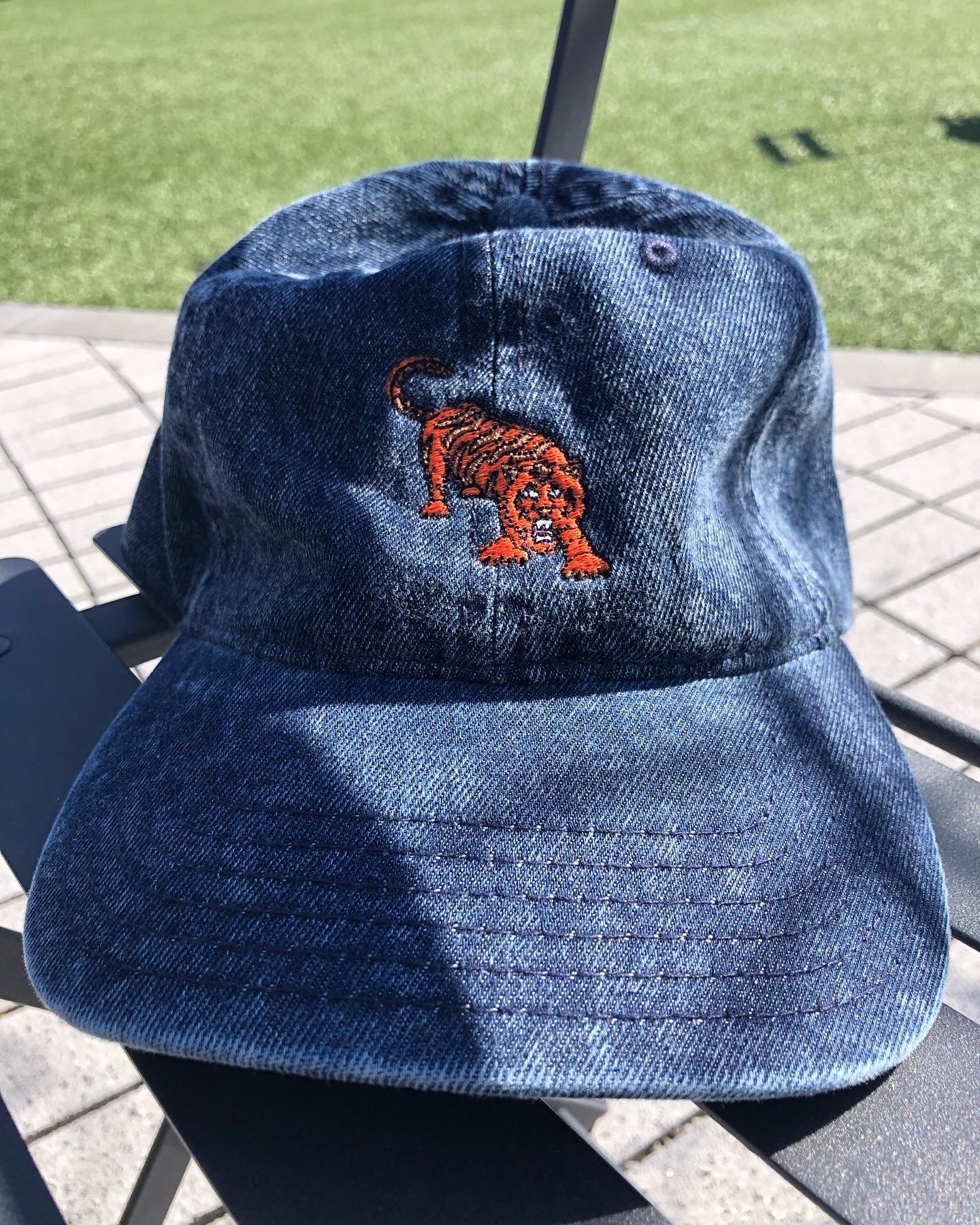 Detroit Tigers Hat